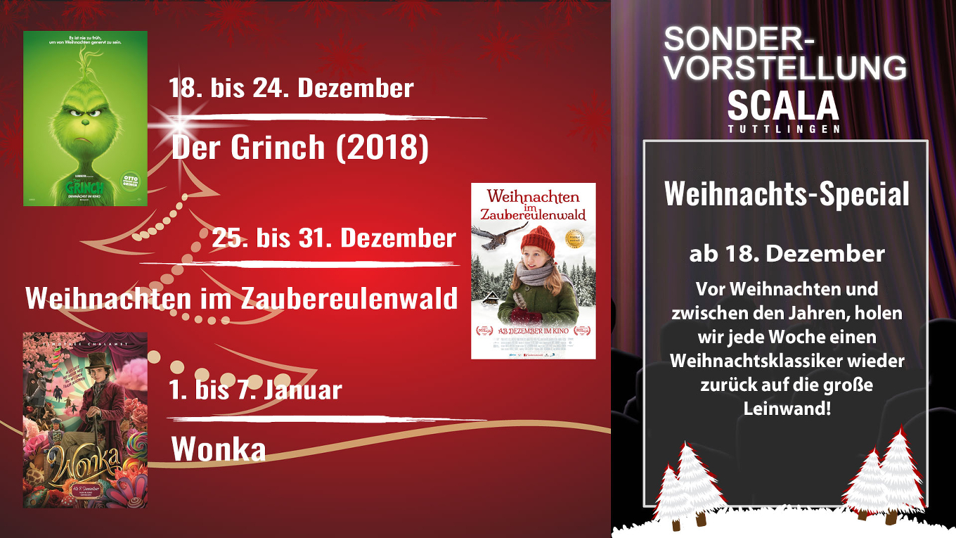 Weihnachten im Zaubereulenwald