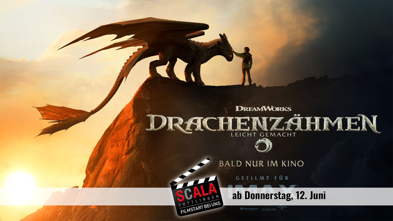 Drachenzähmen leicht gemacht